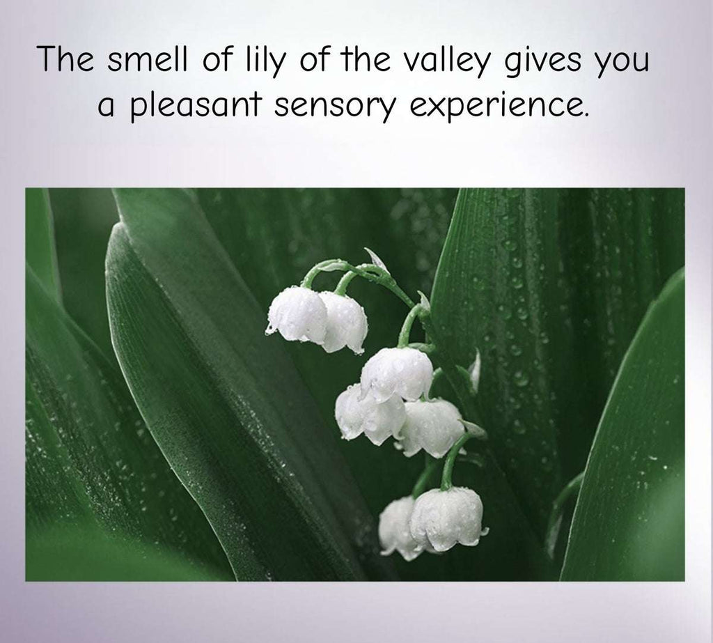 PROYA Luminous Brightening Anti-Spot Serum